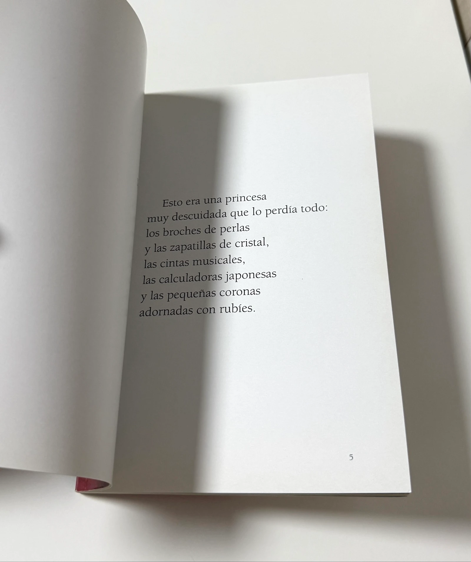 Book The Princess Who Lost Her Name – photo 6